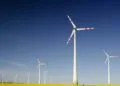 Casa dos Ventos e Cimento Nacional celebram parceria de energia renovável de longo prazo