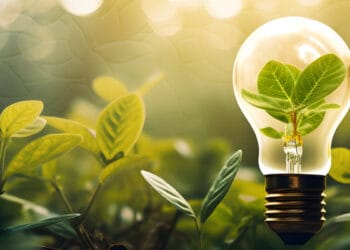 Como o Brasil pode liderar a inovação energética mundial