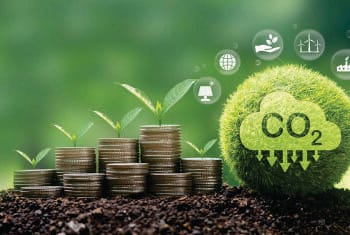 Brasil pode gerar 370 milhões de toneladas de créditos de carbono até 2030, aponta PwC