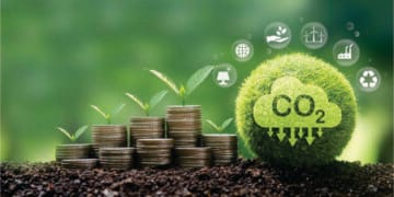 Brasil pode gerar 370 milhões de toneladas de créditos de carbono até 2030, aponta PwC