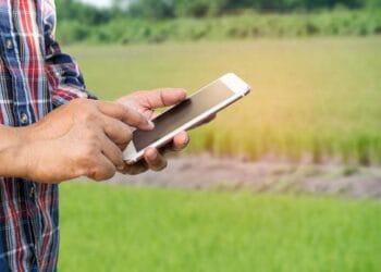 Gestão digital amplia eficiência e retorno dos sistemas fotovoltaicos