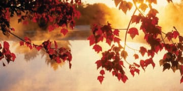 Outono deve favorecer o cenário do sistema elétrico