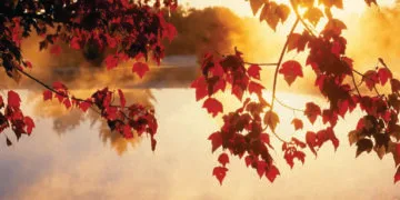 AXIA Energia é premiada como maior emissora de I-RECs em 2025 pelo Instituto Totum