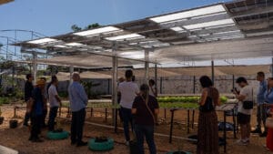 Energia solar permitirá ampliar em 25% a produção de hortaliças em projeto social no Tocantins
