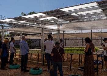 Energia solar permitirá ampliar em 25% a produção de hortaliças em projeto social no Tocantins