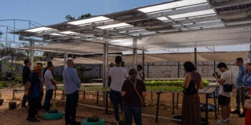 Energia solar permitirá ampliar em 25% a produção de hortaliças em projeto social no Tocantins