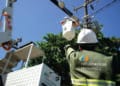 Neoenergia alerta que cerca de 600 mil famílias precisam regularizar cadastro para manter Tarifa Social
