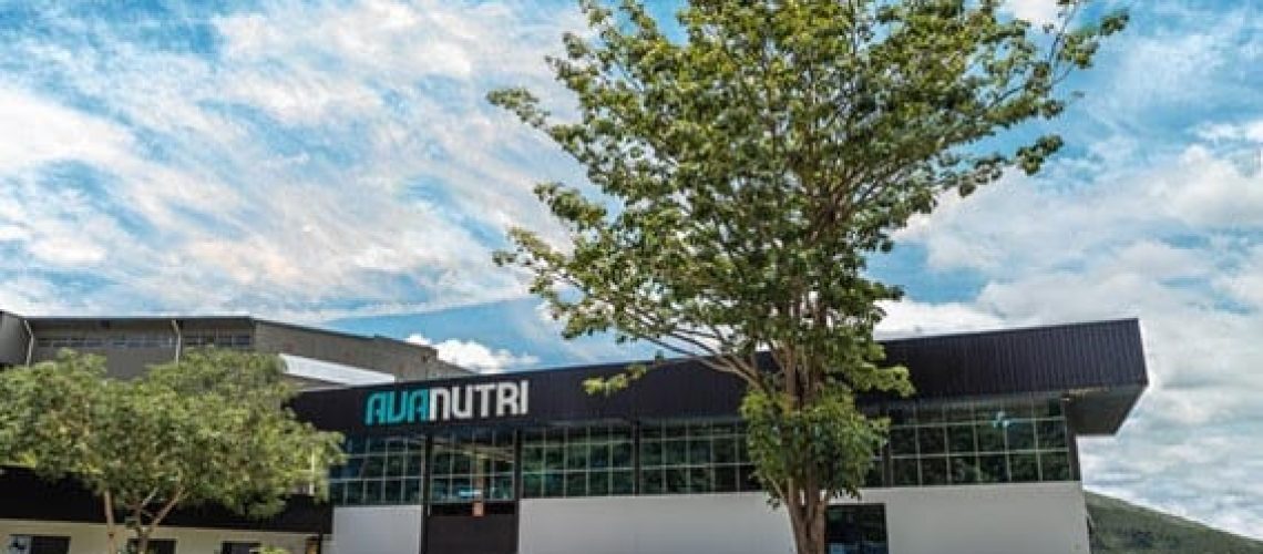 Avanutri investe em energia renovável