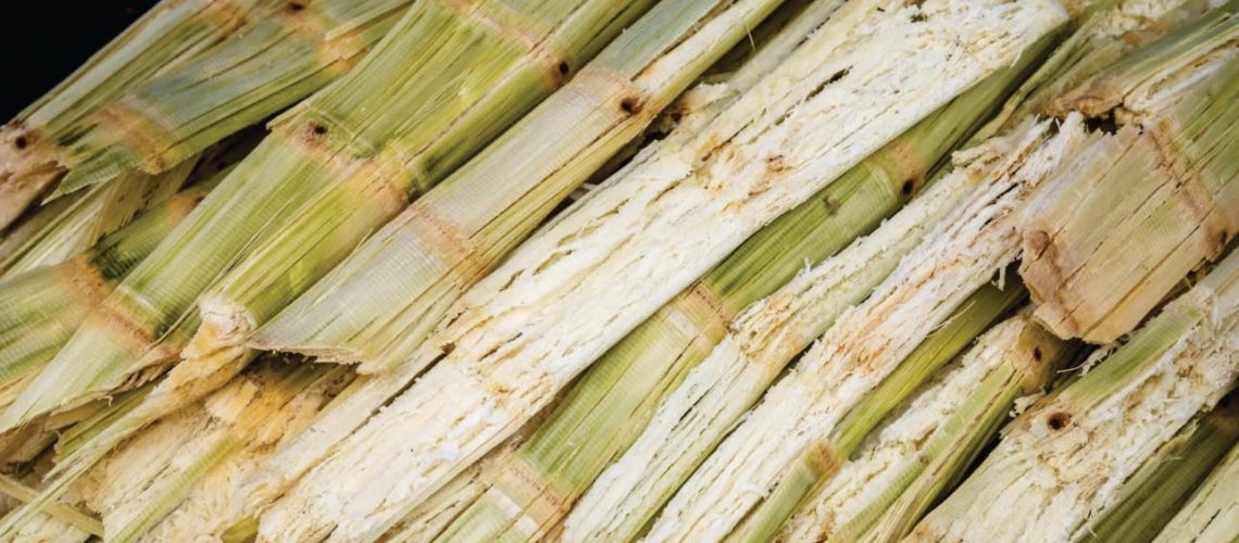 Bagaço de cana já gera energia equivalente a ¼ de Itaipu e ganha força no setor elétrico