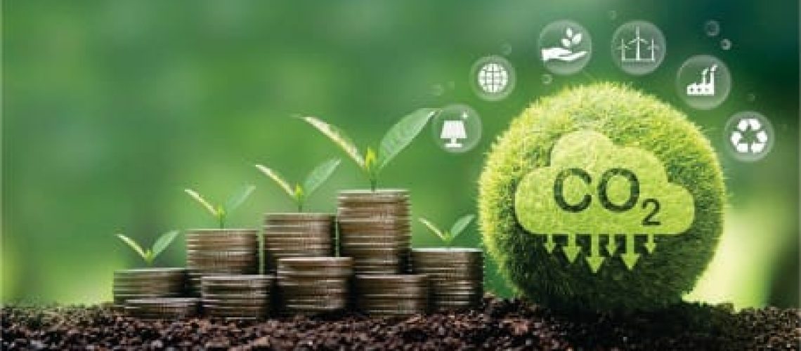 Brasil pode gerar 370 milhões de toneladas de créditos de carbono até 2030, aponta PwC