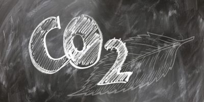 CTG Brasil neutraliza 100% de emissões de carbono