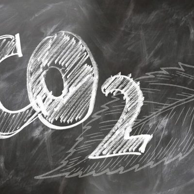 CTG Brasil neutraliza 100% de emissões de carbono