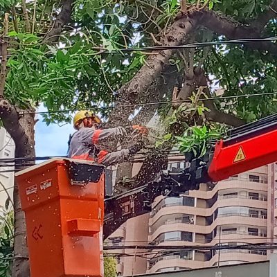 Cemig reforça manutenção preventiva da rede com R$ 438 milhões para reduzir interrupções em Minas