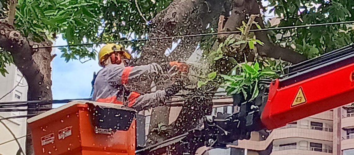 Cemig reforça manutenção preventiva da rede com R$ 438 milhões para reduzir interrupções em Minas