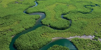 Drones contribuem para eficiência energética na Amazônia