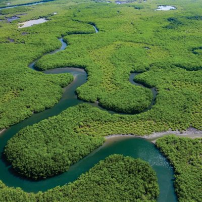 Drones contribuem para eficiência energética na Amazônia