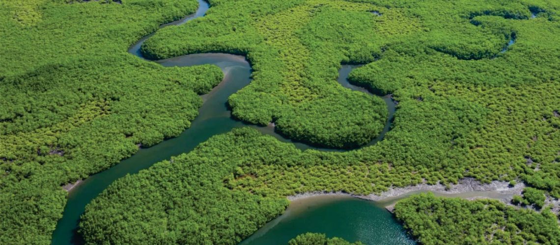Drones contribuem para eficiência energética na Amazônia
