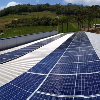Empresa de energia solar registra crescimento de 60% em 12 meses