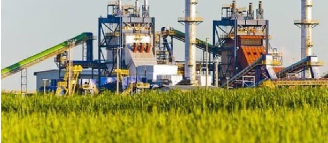Empresas de etanol apostam no uso de biotecnologia
