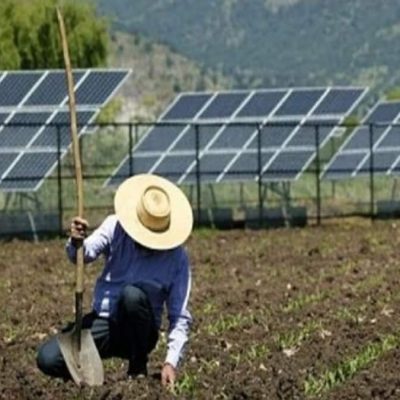 Energia solar é aposta do agronegócio para garantir produtividade e economia