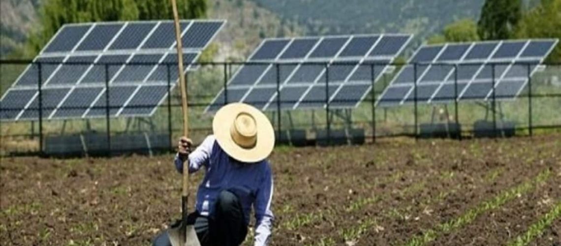Energia solar é aposta do agronegócio para garantir produtividade e economia