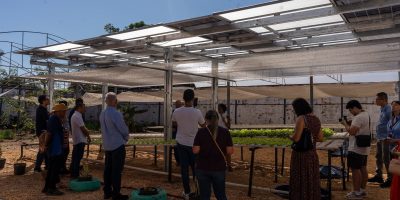 Energia solar permitirá ampliar em 25% a produção de hortaliças em projeto social no Tocantins