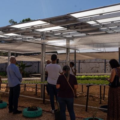 Energia solar permitirá ampliar em 25% a produção de hortaliças em projeto social no Tocantins