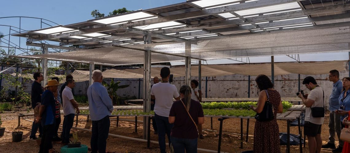 Energia solar permitirá ampliar em 25% a produção de hortaliças em projeto social no Tocantins