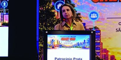 Expansão da eletrificação, eventos climáticos extremos, subsídios tarifários e abertura do mercado estão entre os desafios que exigem mudanças no modelo regulatório