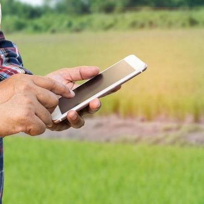 Gestão digital amplia eficiência e retorno dos sistemas fotovoltaicos