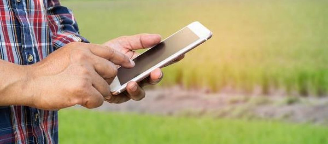 Gestão digital amplia eficiência e retorno dos sistemas fotovoltaicos