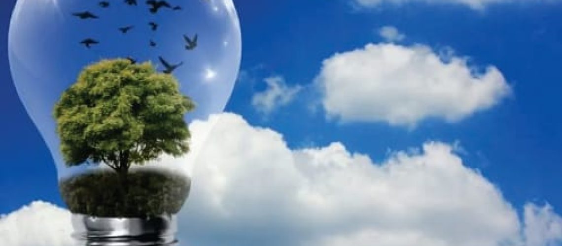 Grupo Fictor quer suprir 80% das demandas energéticas até 2030
