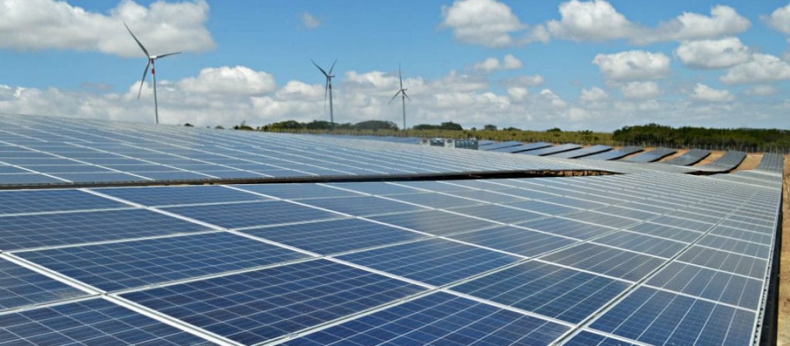 Ibitu Energia iniciou o plantio de 3,5 mil mudas de árvores