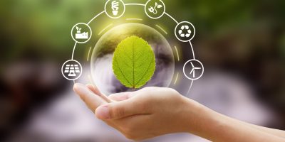 Investimentos em inovação podem acelerar o desenvolvimento de empresas sustentáveis