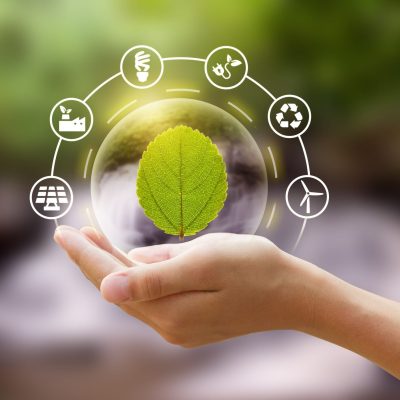 Investimentos em inovação podem acelerar o desenvolvimento de empresas sustentáveis