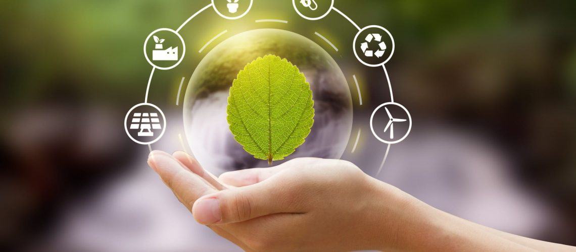 Investimentos em inovação podem acelerar o desenvolvimento de empresas sustentáveis