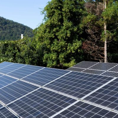 Sengi Solar nasce durante a Intersolar 2022
