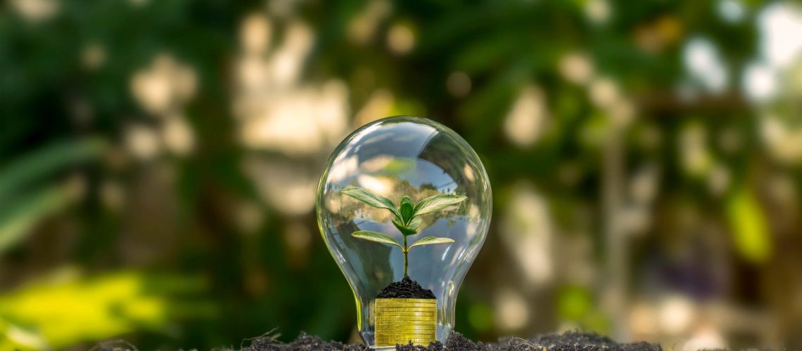 Startup revoluciona mercado energético brasileiro com economia de R$15 milhões e acesso democratizado à energia limpa